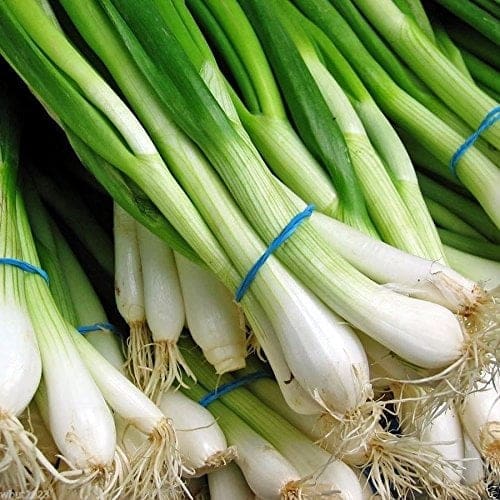 Scallions / Spring Onions - The Recipe Website