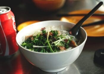 Chicken Noodle Soup - TheRecipe.Website