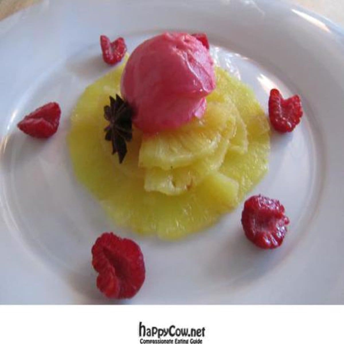 Hawaiian Isle Sorbet Recipe - TheRecipe.Website