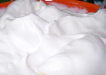Low Calorie, Fat Free Whipped Cream - TheRecipe.Website