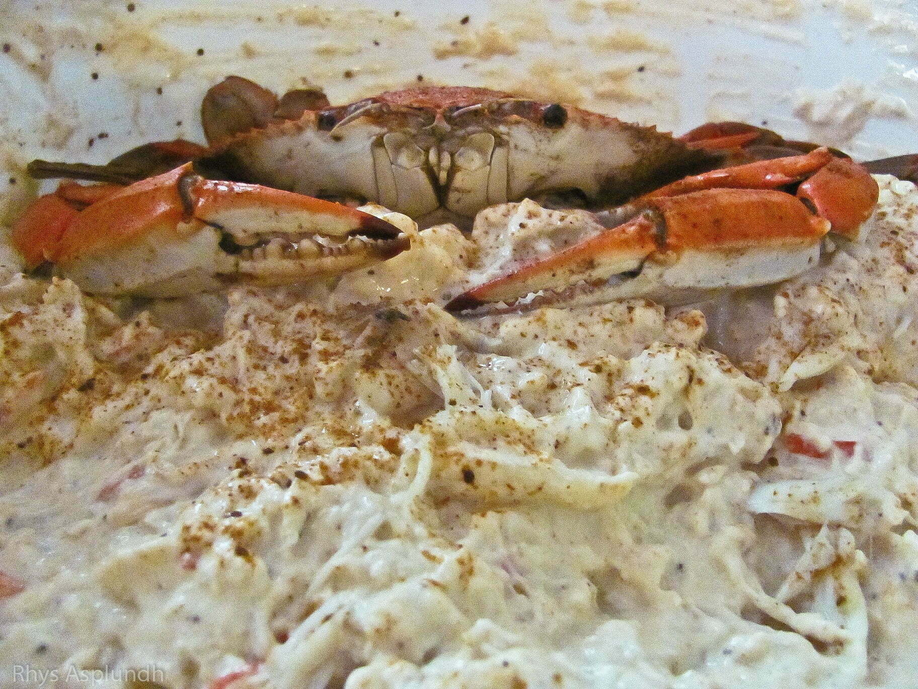 Hot Crab Dip - TheRecipe.Website