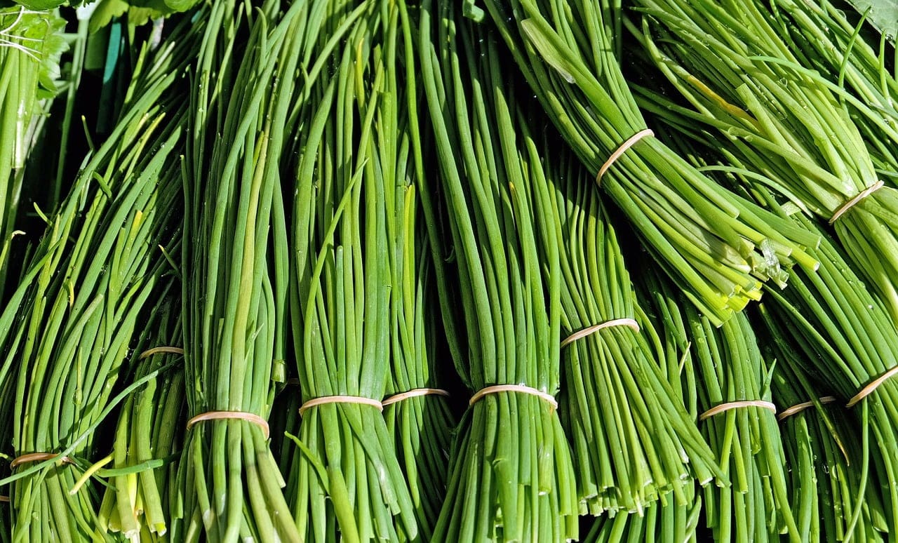 Chives - TheRecipe.Website