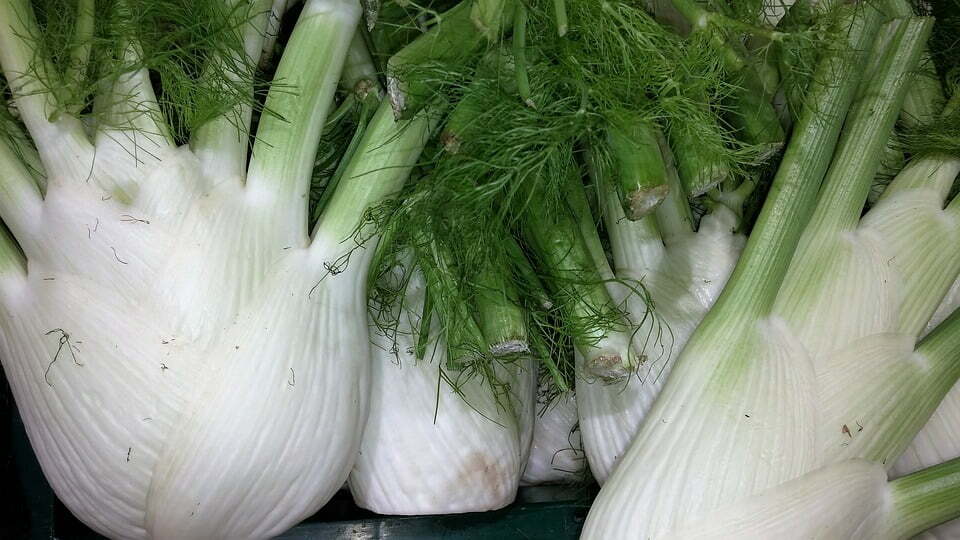 Fennel Leaves - The Recipe Website