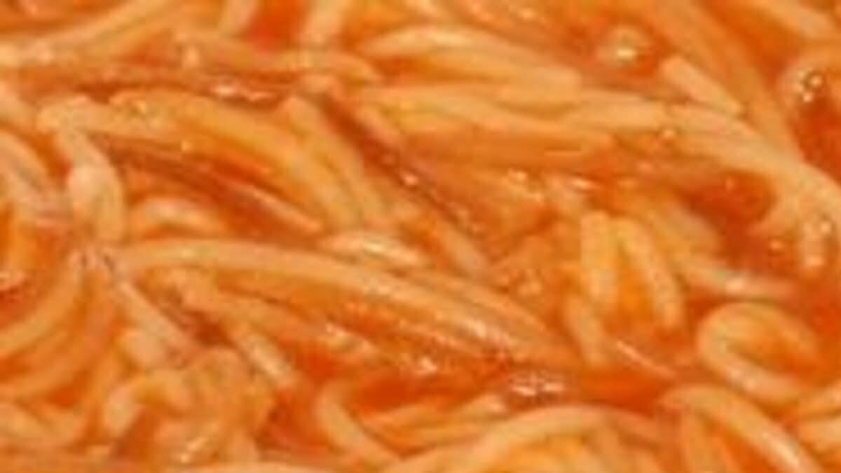 Noodle Soup - Sopa de Fideos