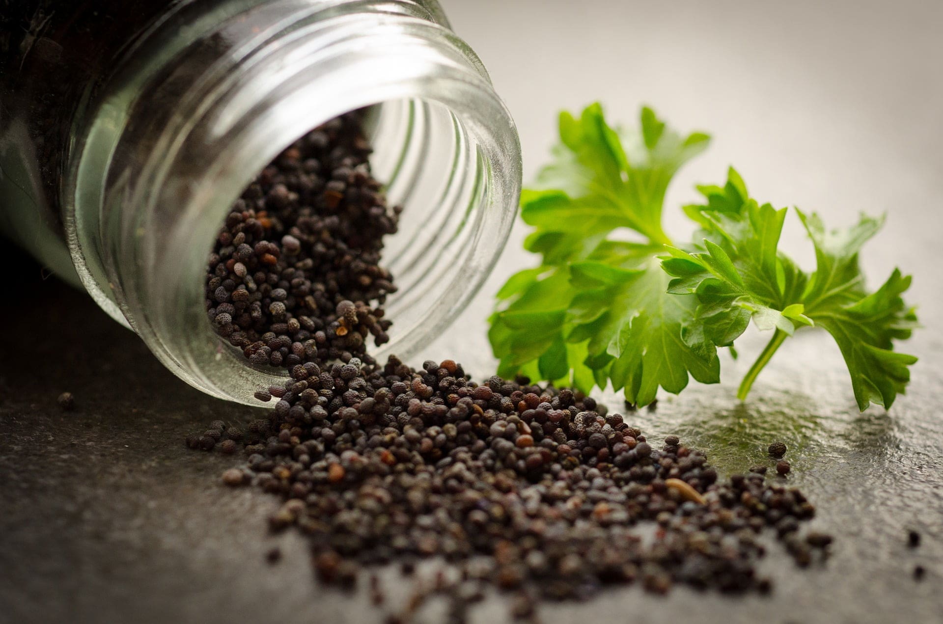 Poppy Seeds - TheRecipe.Website