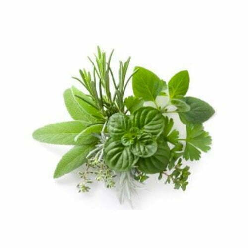 Herbes de Provence The Recipe site