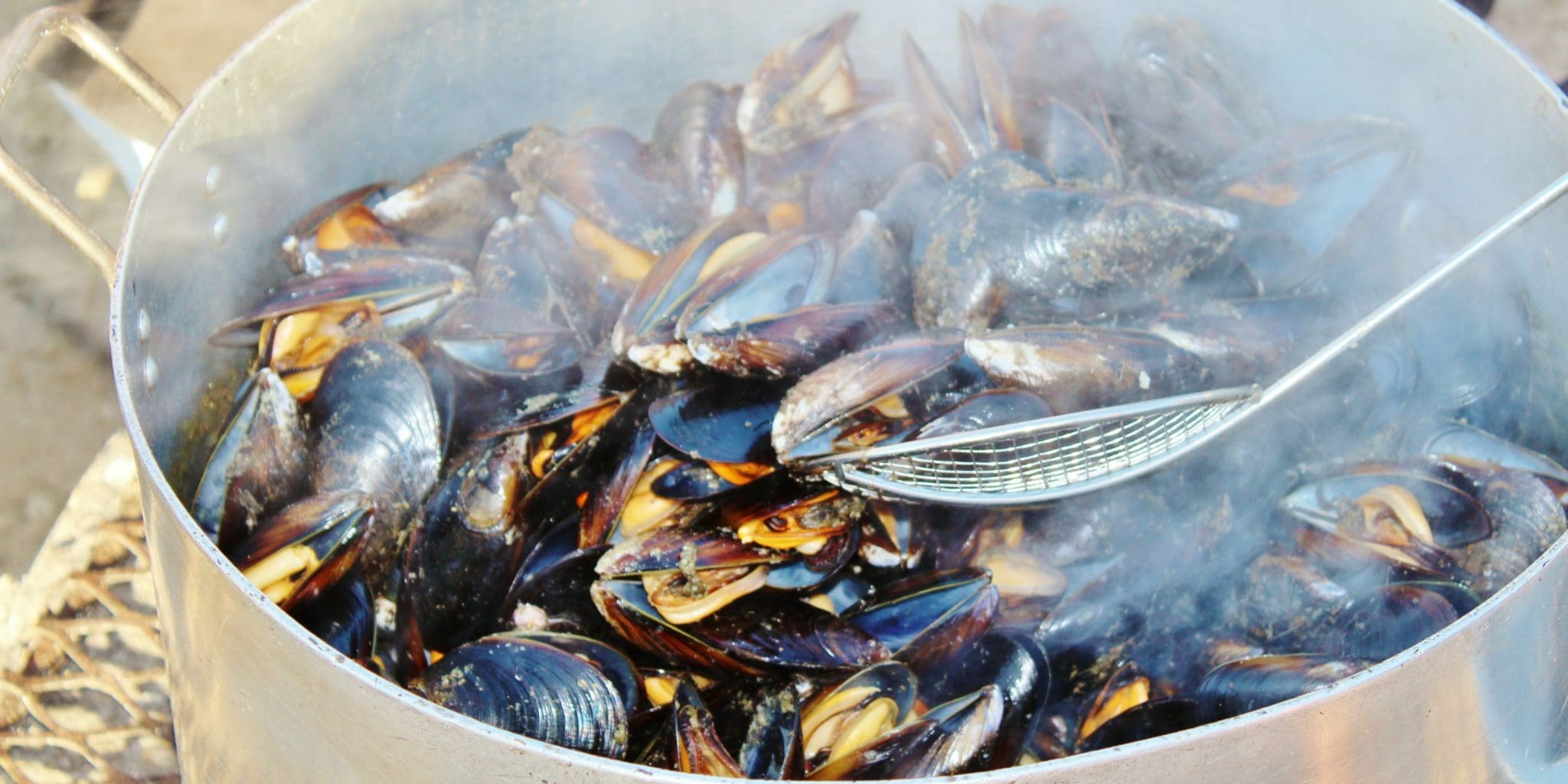 Moules Mariniere Magic - TheRecipe.Website