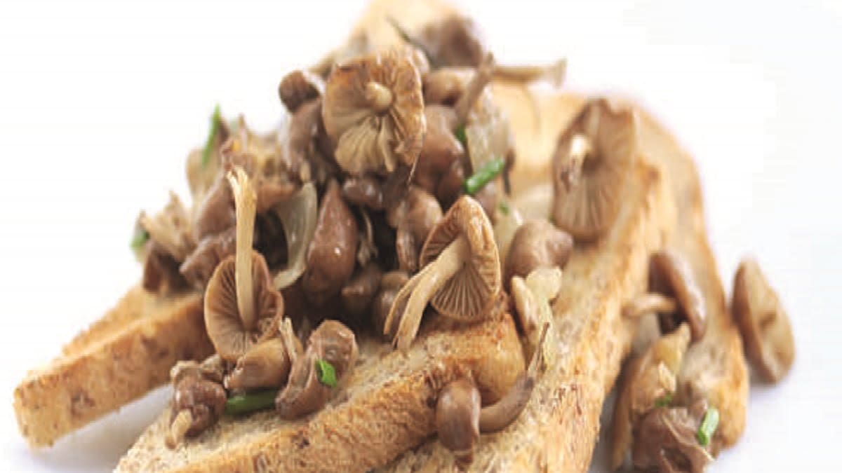 Wild Mushrooms on Toast