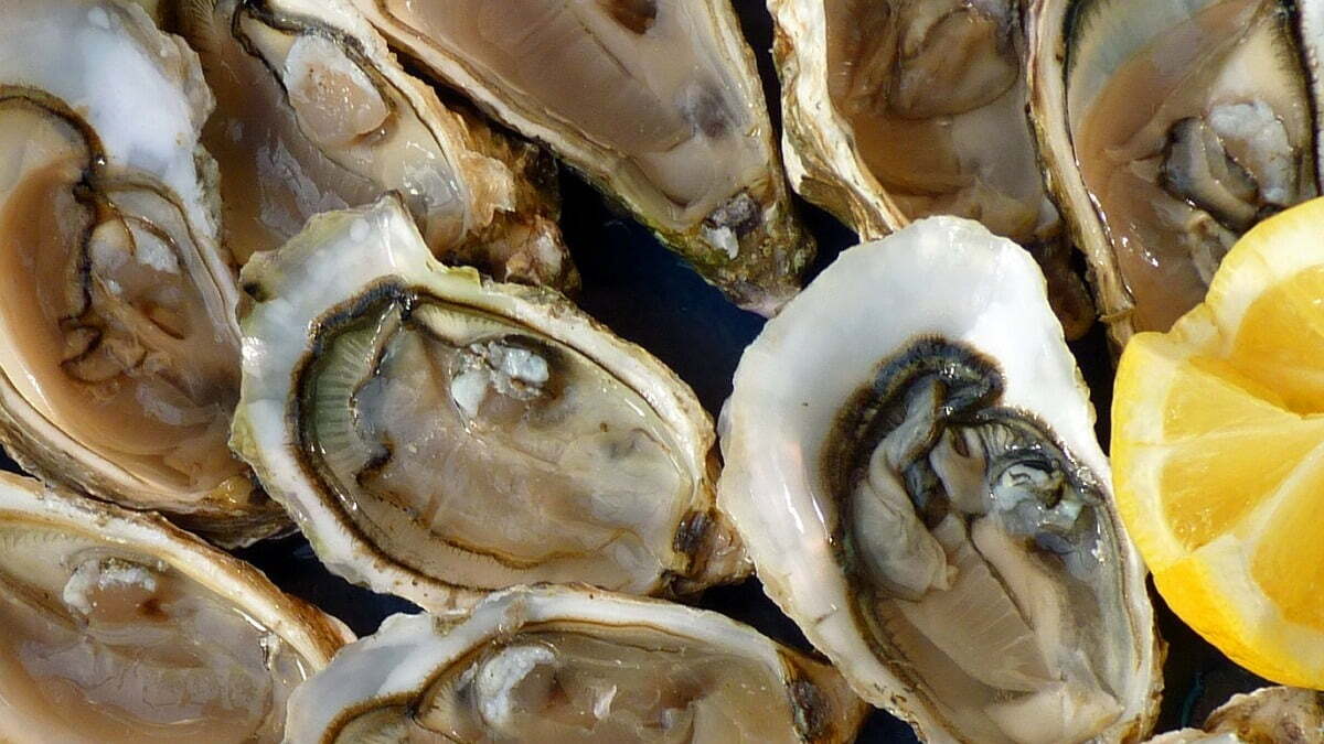 Oysters with Shallots