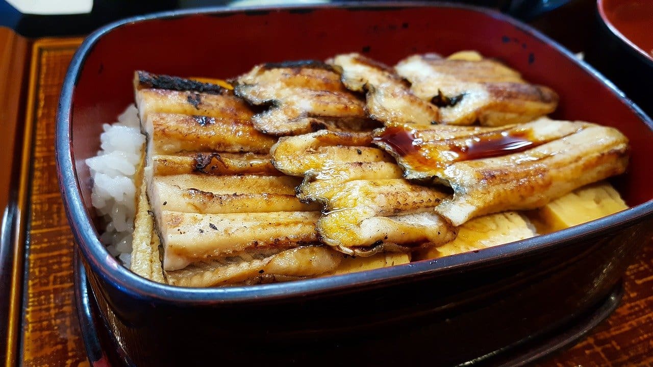 Grilled Eel with Unagi Sauce Recipe - TheRecipe.Website