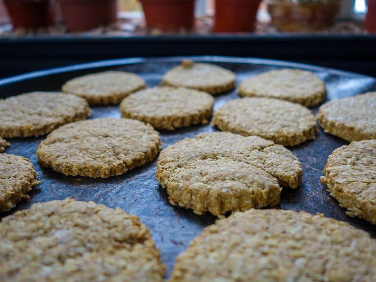 Porridge Oat Biscuits Recipe - TheRecipe.Website