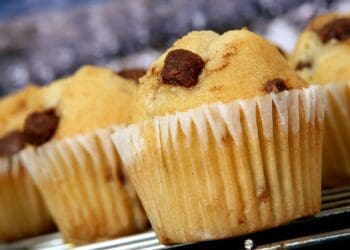 Chocky Chip Muffins Recipe - TheRecipe.Website