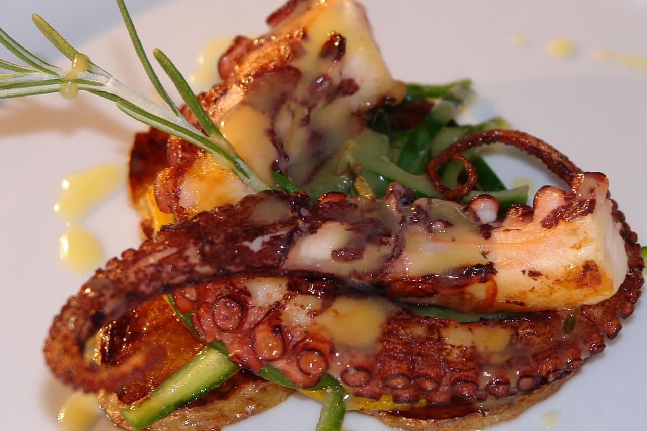 Tender Octopus with Cucumber Salad Recipe - TheRecipe.Website