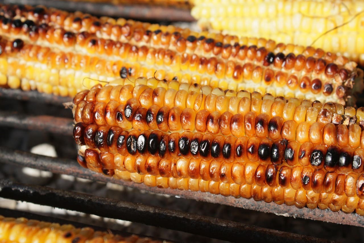 Barbecue Corn on the Cob Recipe - TheRecipe.Website