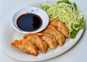 Japanese Pork Gyoza Recipe - TheRecipe.Website