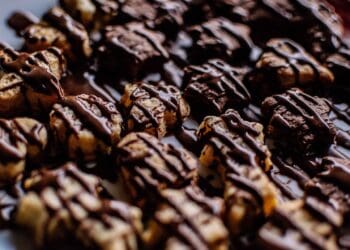 Chocolate Fruit Nibbles Recipe - TheRecipe.Website