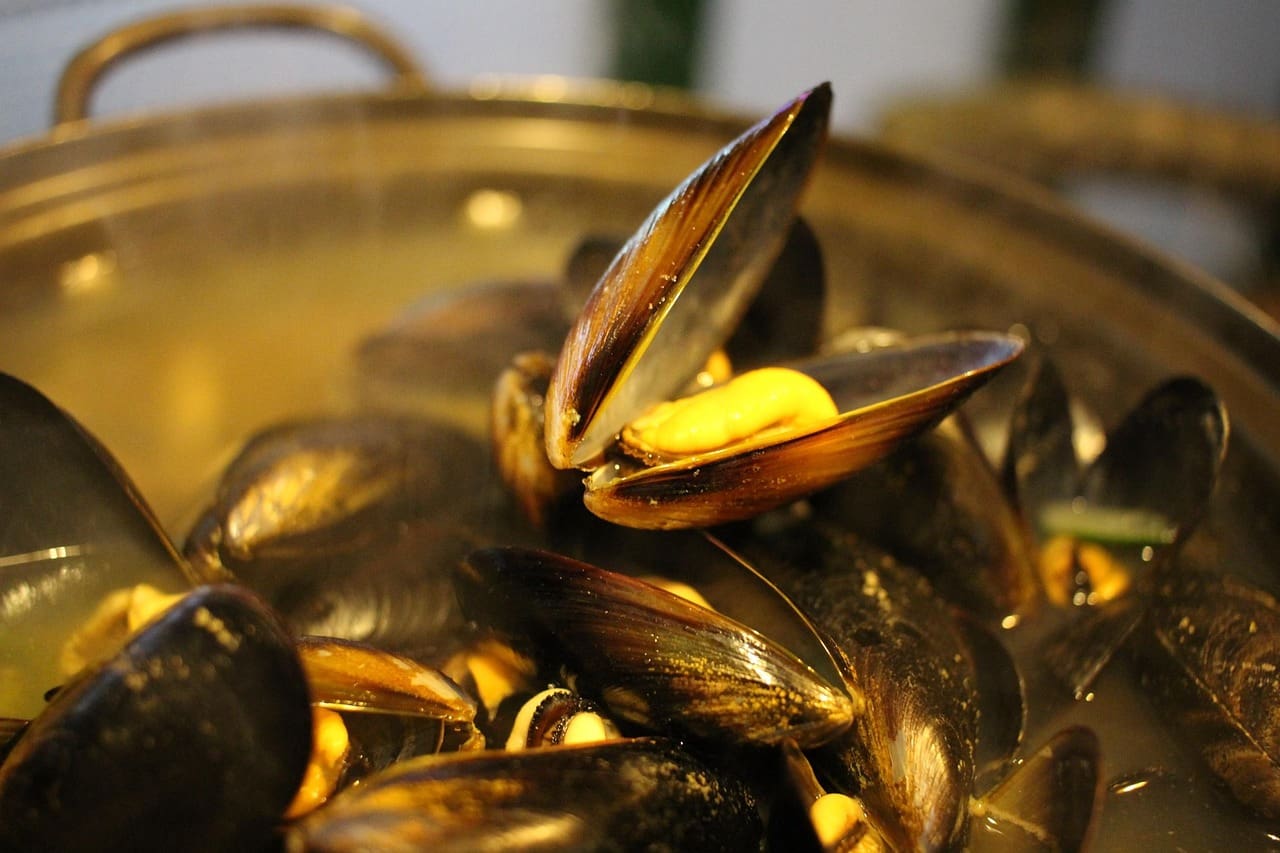 Cider Mussels Recipe - TheRecipe.Website