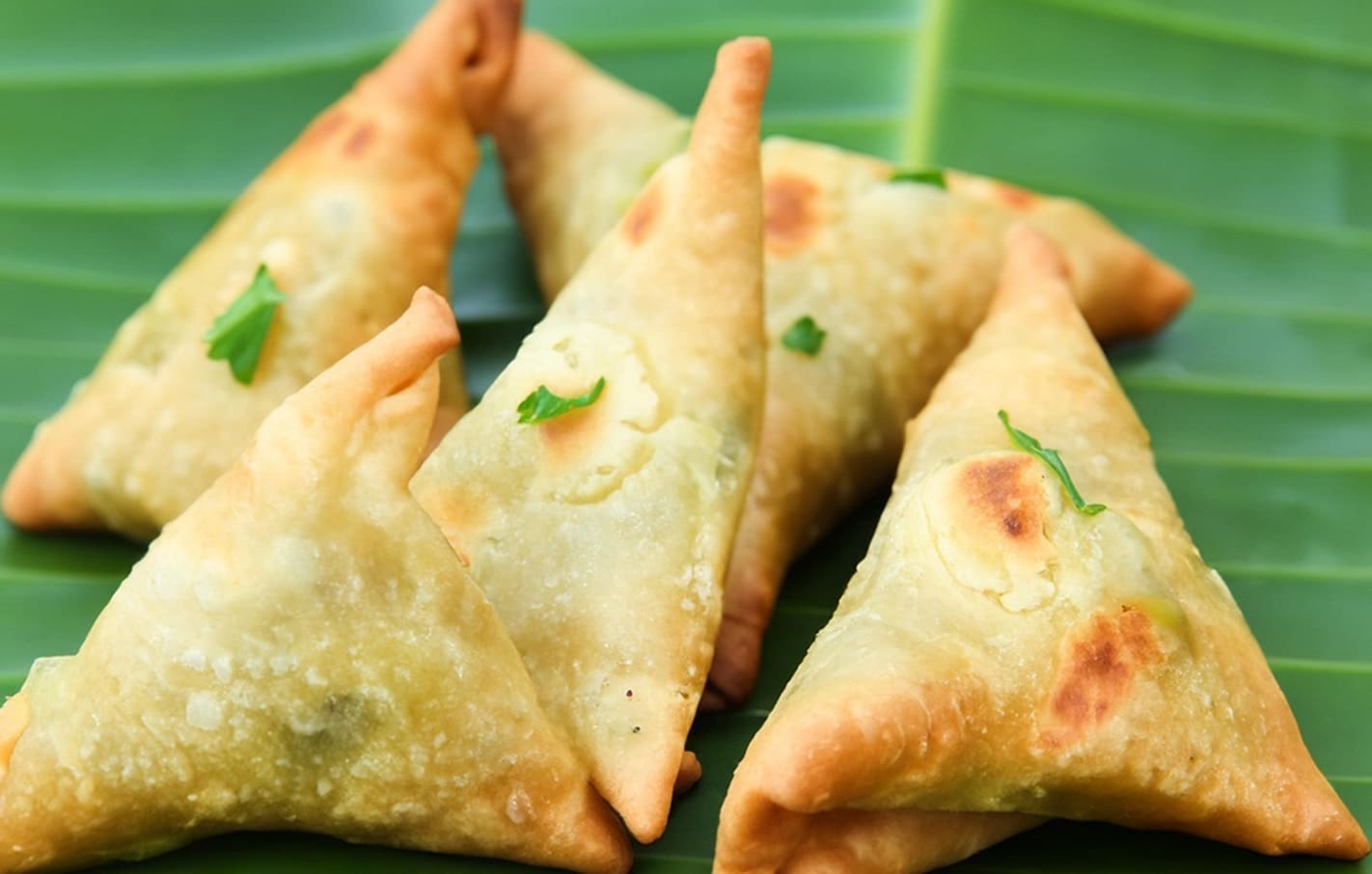 Prawn Samosas Recipe - TheRecipe.Website