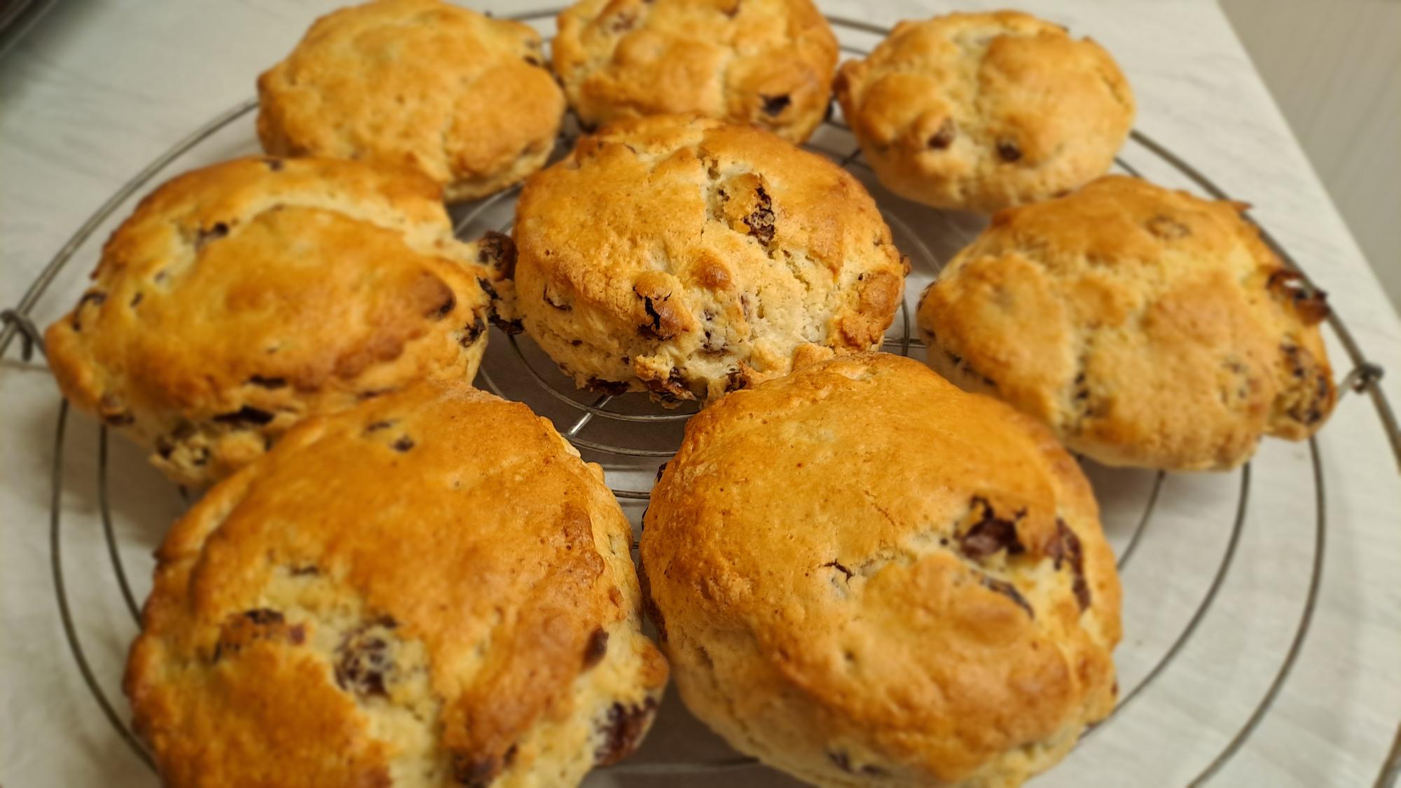 Warm Sultana Scones Recipe - TheRecipe.Website