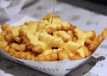 Cheese Sauce Fries Recipe - TheRecipe.Website