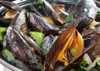 Cider Mussels with Celery Recipe - TheRecipe.Website
