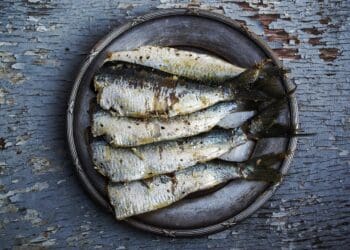 Grilled Sardines Recipe - TheRecipe.Website